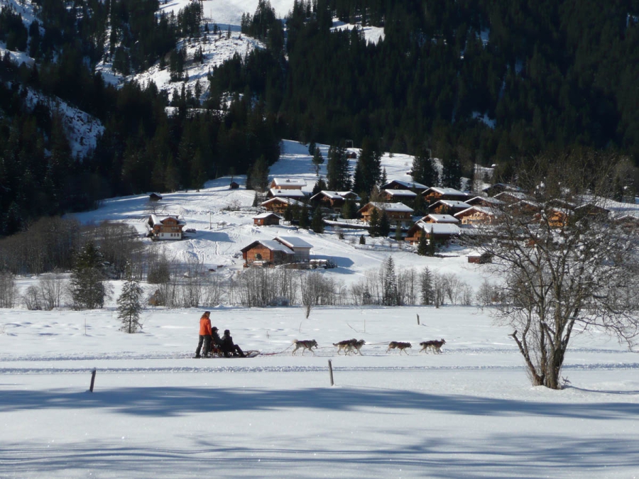 Wintersport Lauenen